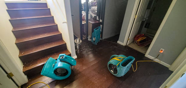 Best Water damage contractors near me  in North Brooksville, FL