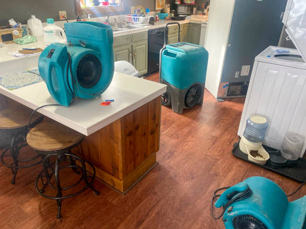 Best Water damage restoration mold remediation  in North Brooksville, FL