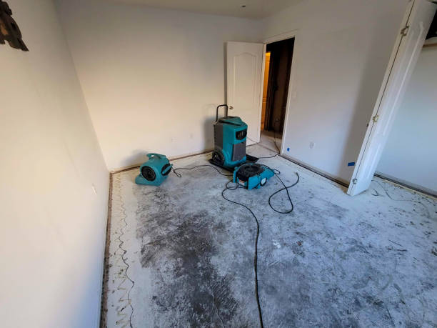 Best Residential water damage restoration  in North Brooksville, FL