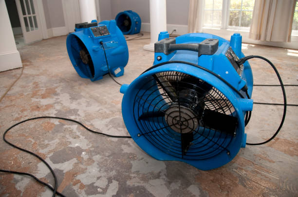 Best Fire Damage Restoration  in North Brooksville, FL