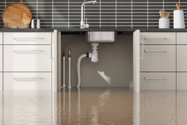 Best Water damage mitigation services  in North Brooksville, FL