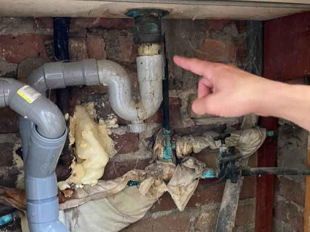  North Brooksville, FL Water damage restoration Pros