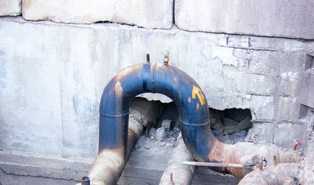 Best Water damage restoration insurance claims  in North Brooksville, FL