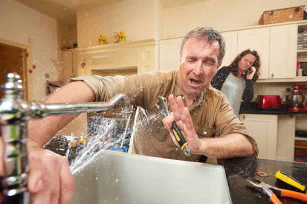 Best Local water damage restoration  in North Brooksville, FL